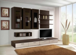 Obývací stěna ROMA - buk, wenge