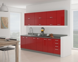 Kuchyňská skříňka Rose 60 DPS-210 3S 1F