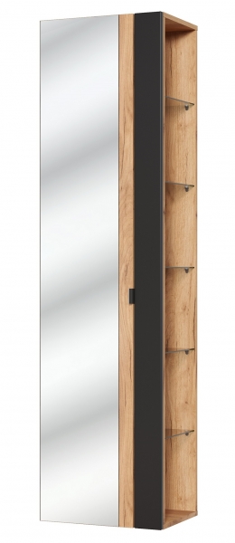 Koupelnová skříňka CAPRI COSMOS 803, vysoká se zrcadlem